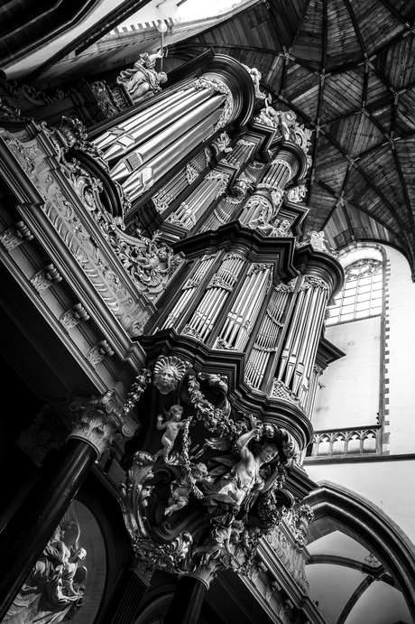 Het orgel van Sint Bavo