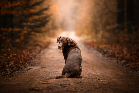 Whispers of fall 🧡