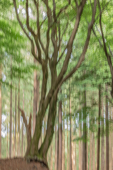 ICM