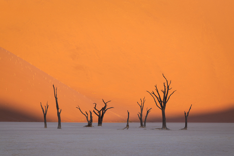 Deadvlei, Namibië