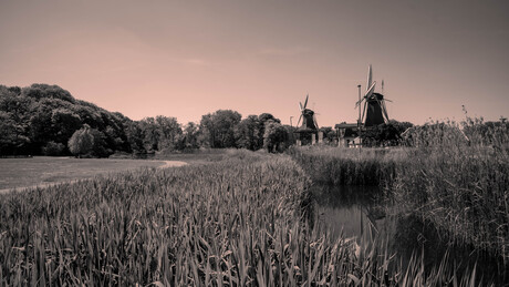 Echoes of the Wind