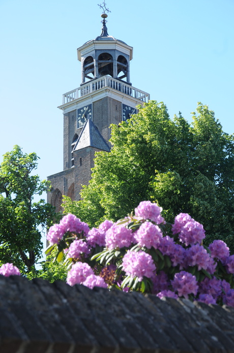 voorgrond