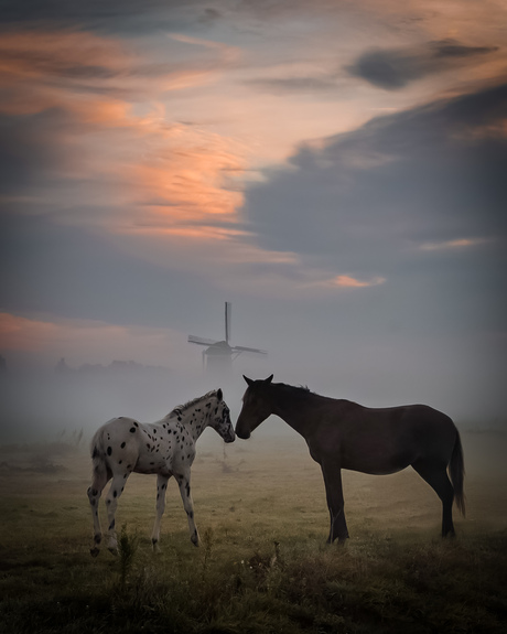 Soms is dit precies genoeg