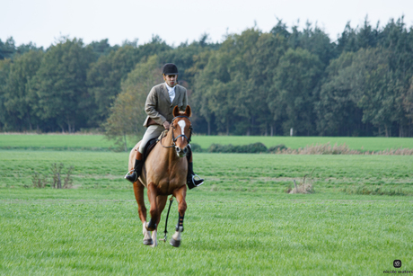 paard van voren in actie