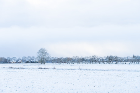 minimalistisch sneeuw landschap