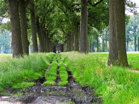 Modderige wandelpaden