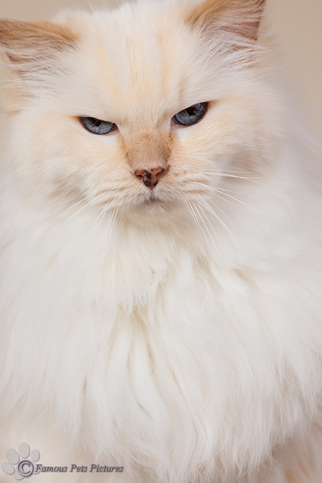 Famous 'still a tough boy'