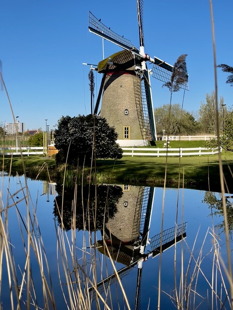 Wippersmolen 