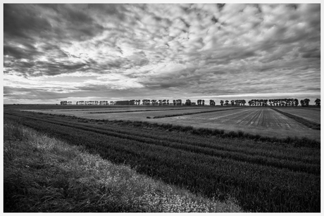 Weidse banen