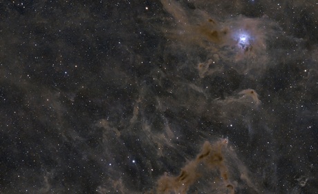 Iris Nevel NGC 7023
