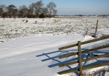 Sneeuwdag 