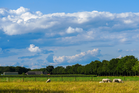 Mooie wolken in de lucht