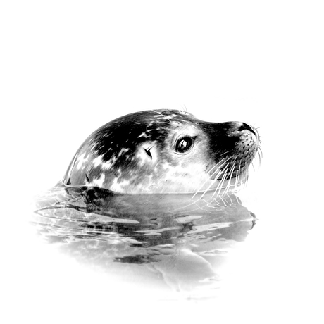 Kopje boven water........