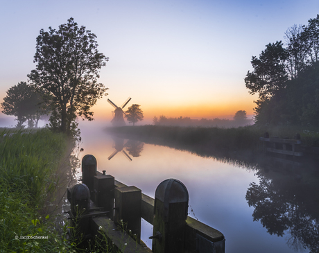 Krimstermolen met mist en zonsopgang