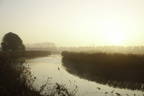 Zonsopgang aan de Nete