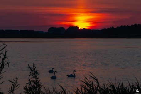 Sunset vandaag 