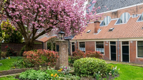 Luthershofje Haarlem
