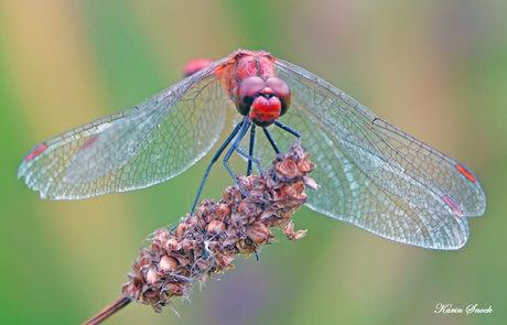 "Just standing there..."