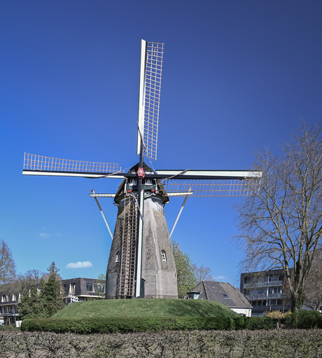 een prachtige molen