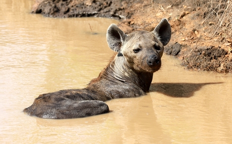 Tanzania