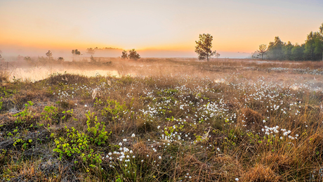 Zonsopkomst Haaksbergerveen