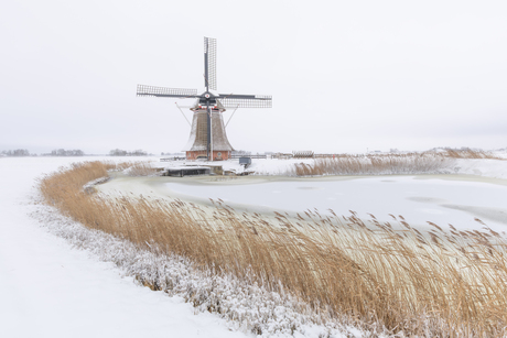 Winter in Friesland 