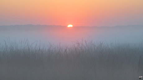 Eindelijk de Zon!