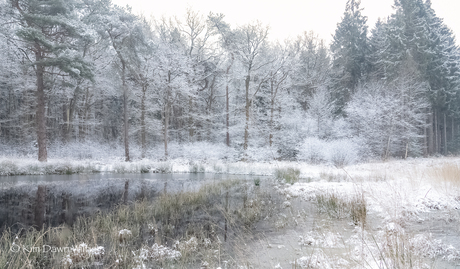 witte wereld