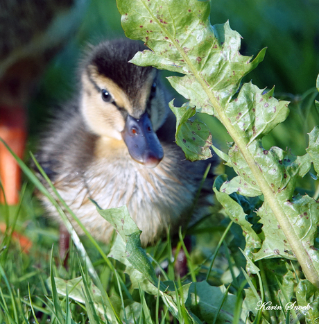 "Lekker op ontdekking..."