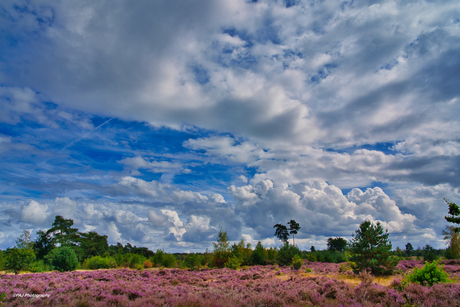 Hollandse luchten
