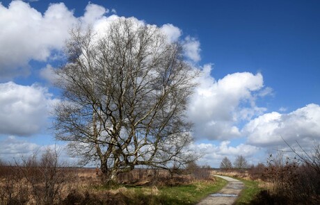 Fietspad