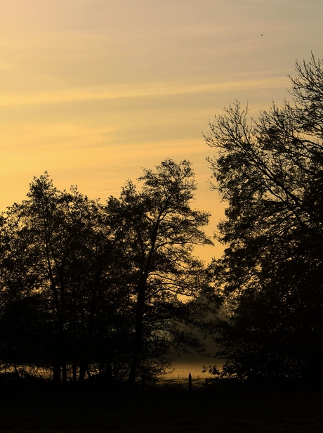 Ciel jaune