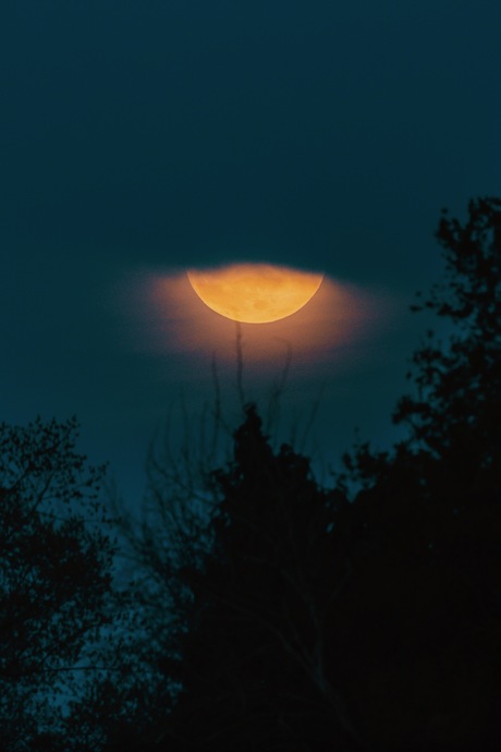 Moonrise.