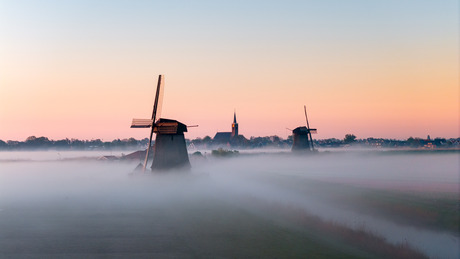 Schermerhoorn