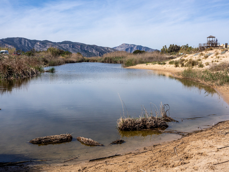 Uitloop van een rivier 