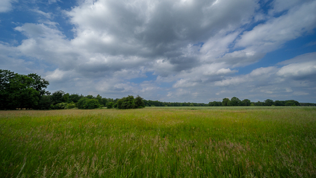 Het Brunsveld