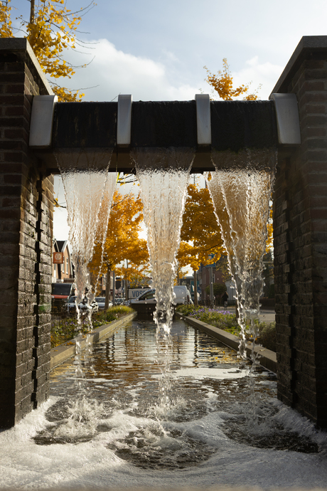 Natuurfoto in de stad