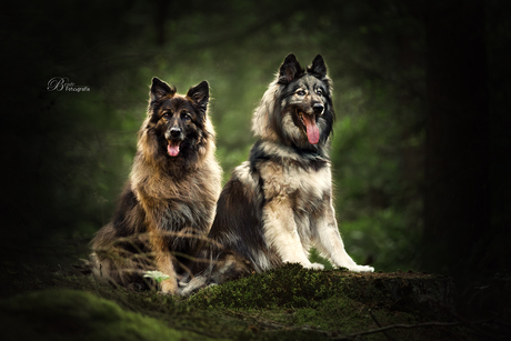 Zarah & Lexi