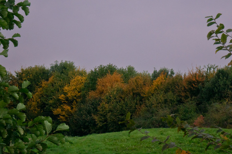 natuur
