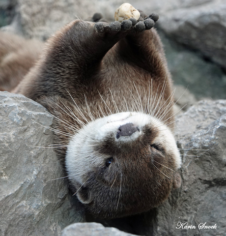 "Just relaxing with my stone..."