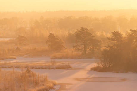 Hier wordt je toch warm van