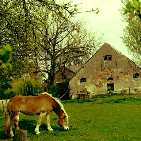 "I've been to the desert on a horse with no name. It felt good to be out of the rain.