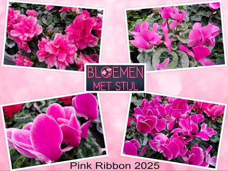 Collage  PINK RIBBON  2025   afsluiter   foto s Tuincentrum  14 okt 2025  