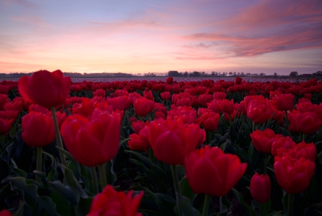 Kleurrijke zonsondergang