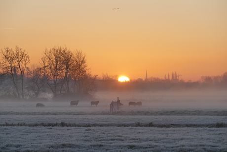 De winterzon komt op