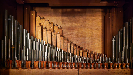 Orgel pijpjes