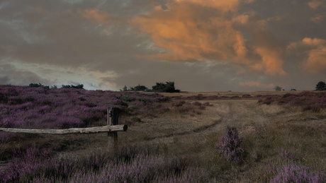 Grote stille heide.....