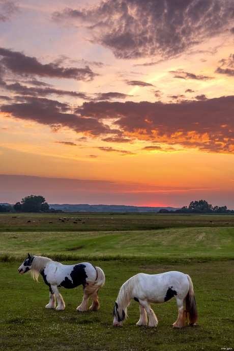 Na zonsondergang.