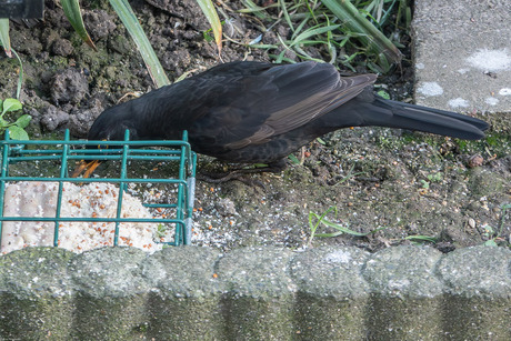 Alles in orde, dus --(6)