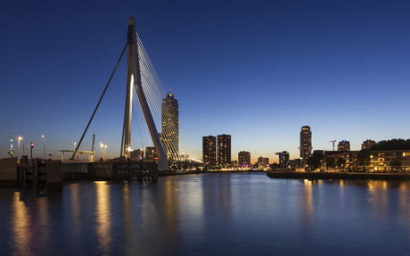 " De Zwaan "
